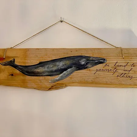 Vv Blanca Del Sol Oasis Duna Corralejo