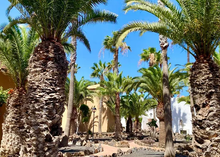 Vv Blanca Del Sol Oasis Duna Lägenhet *