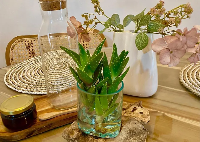 Vv Blanca Del Sol Oasis Duna *